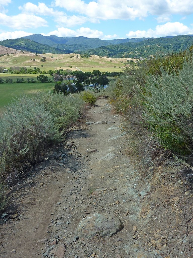 P1010659