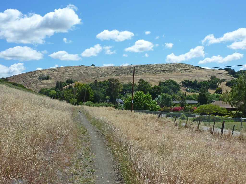 P1010660