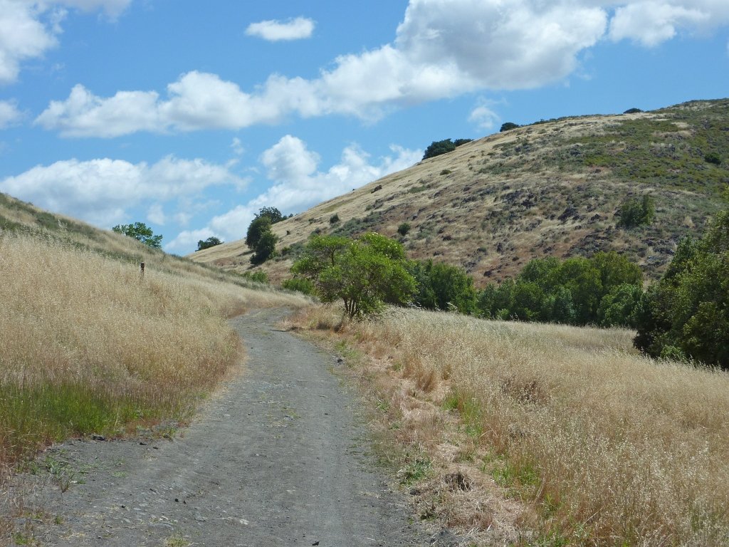 P1010664