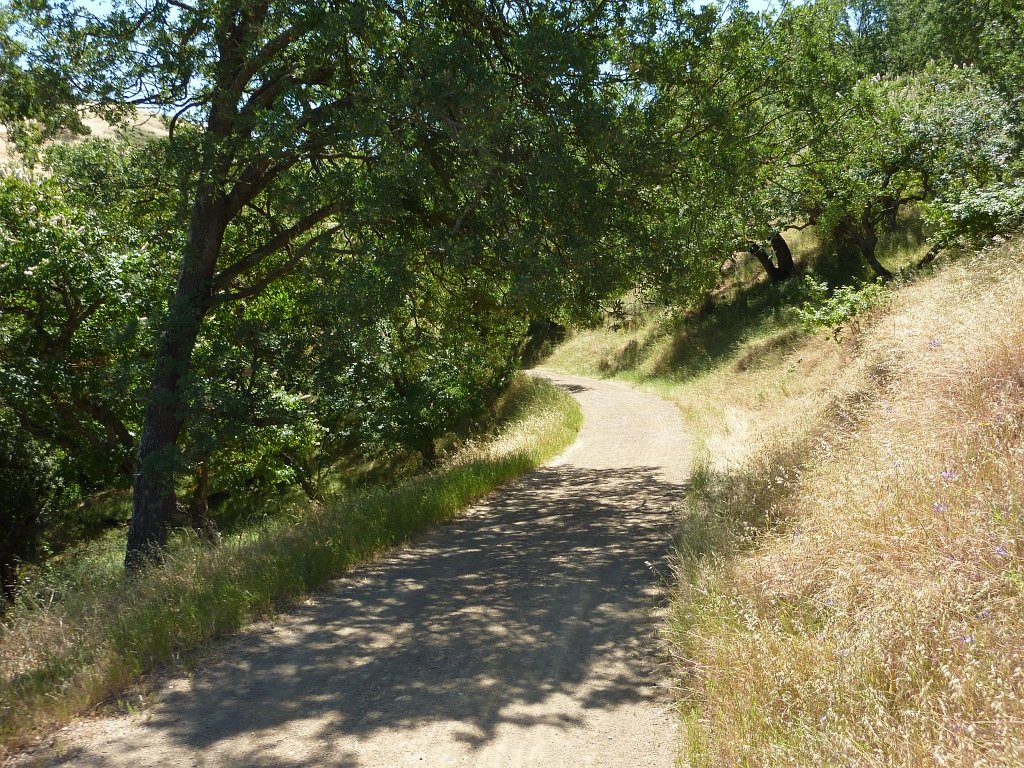 P1010666