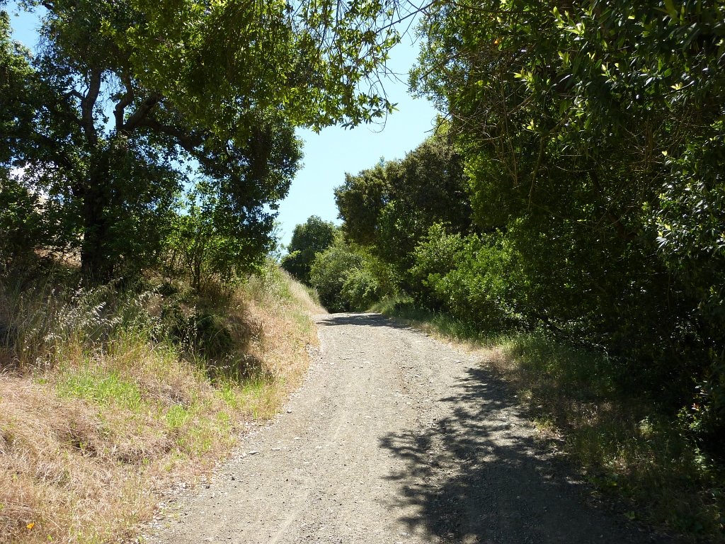 P1010668