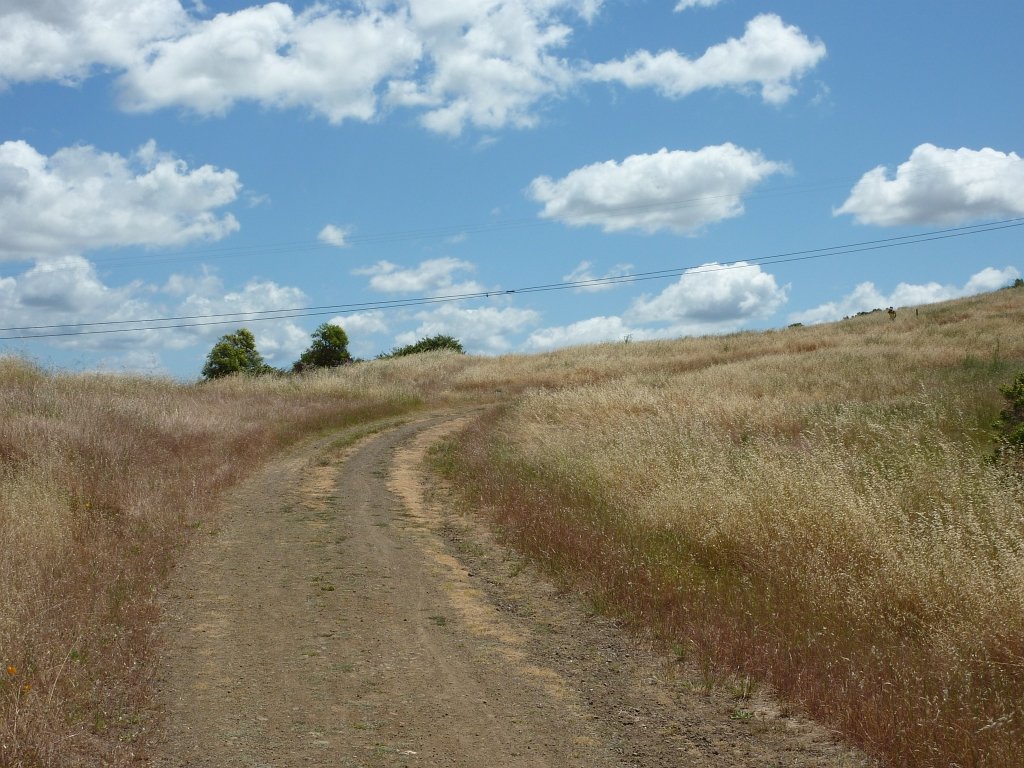 P1010669