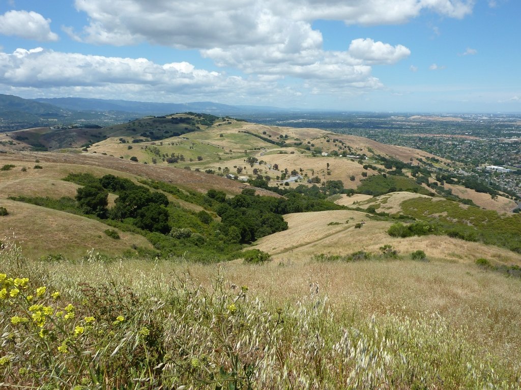 P1010674
