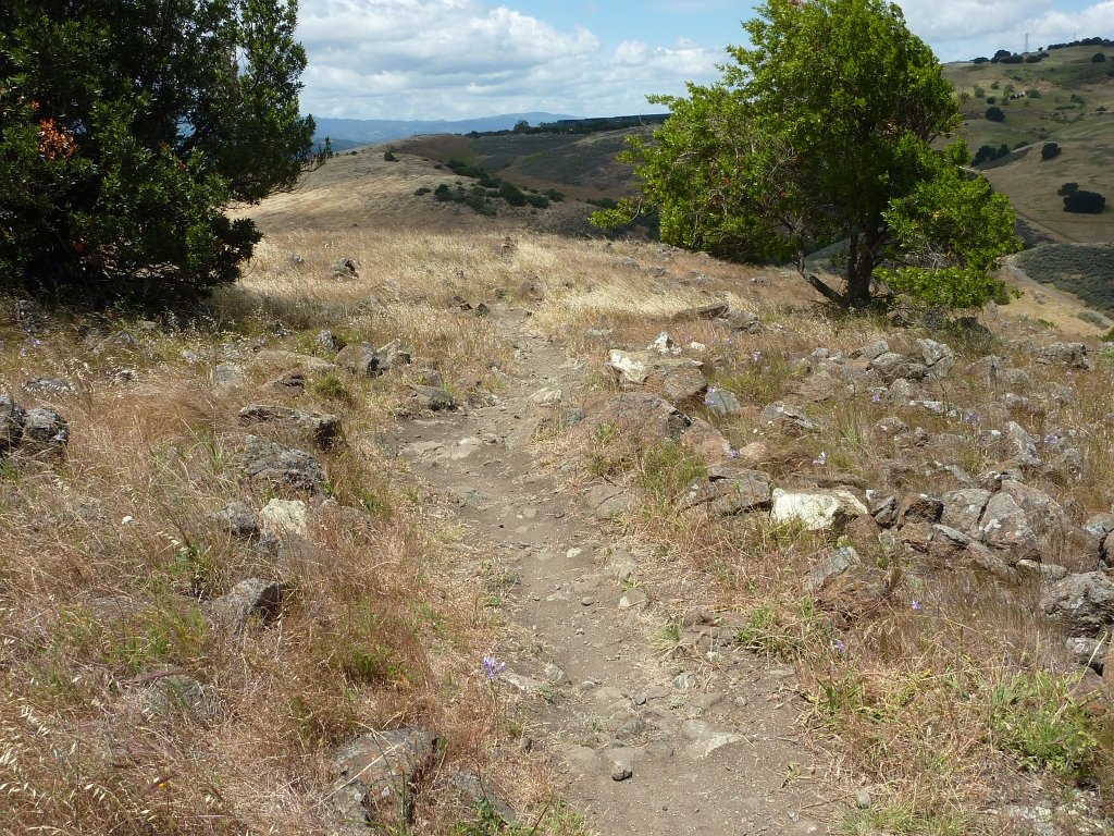 P1010686