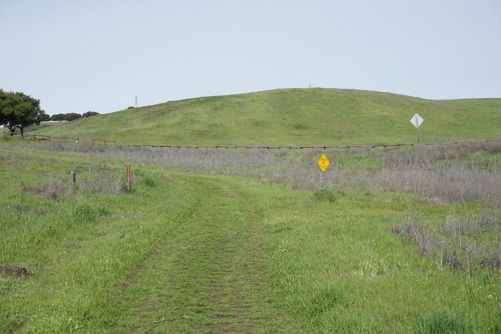 DSC01548