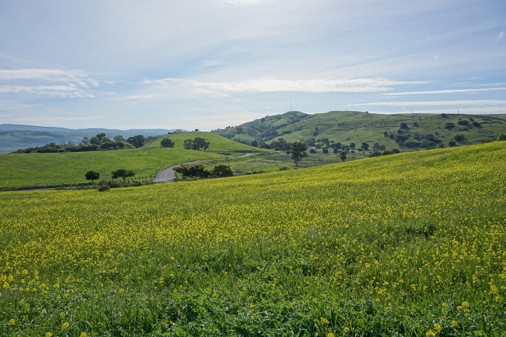 DSC01555