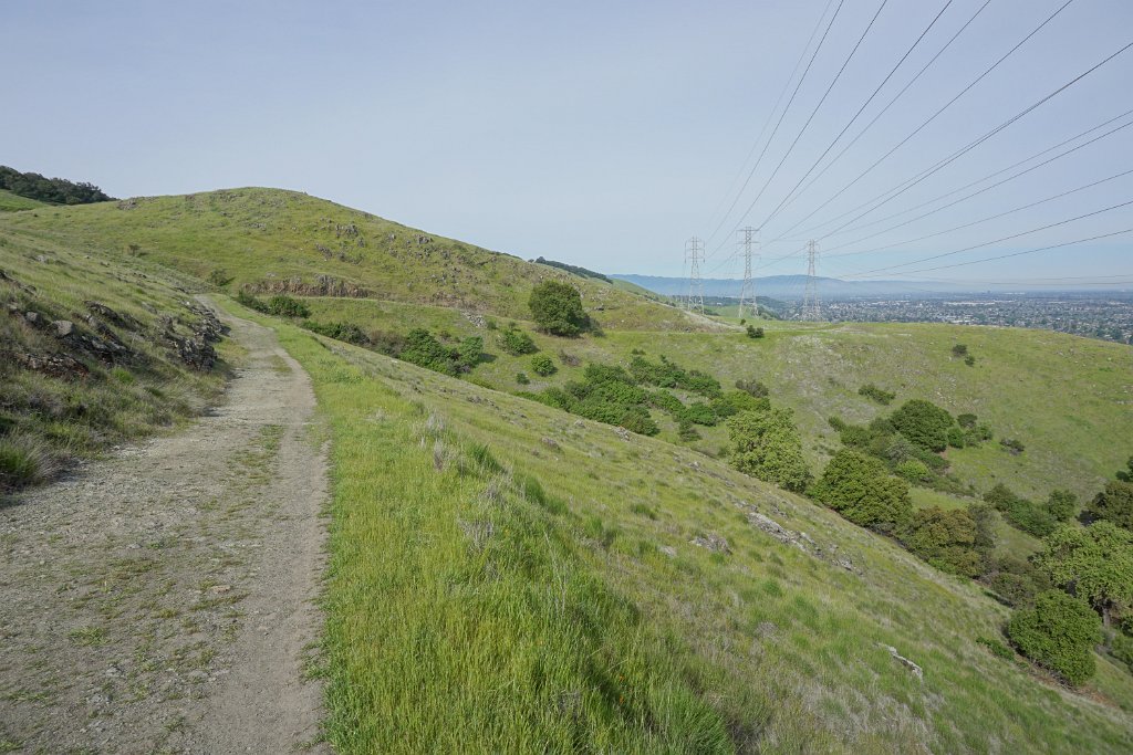 DSC01574