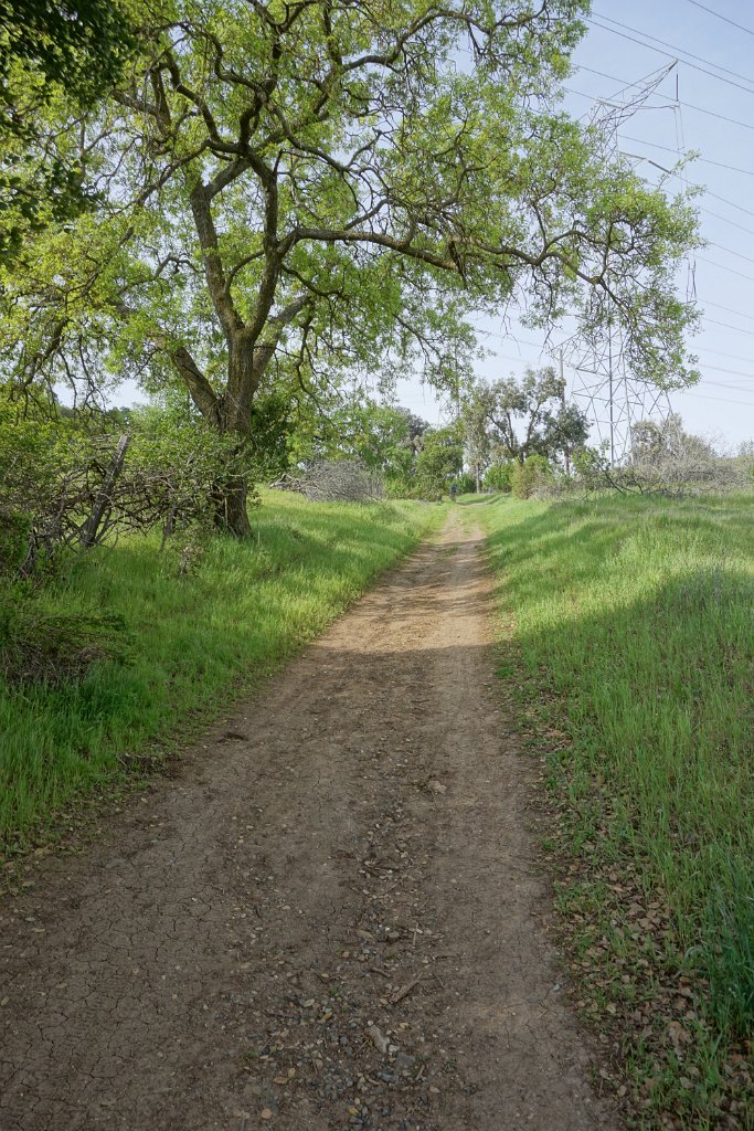 DSC01603