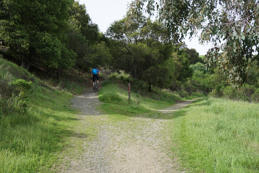 DSC01604