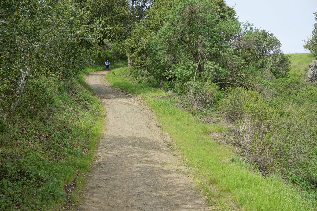 DSC01641