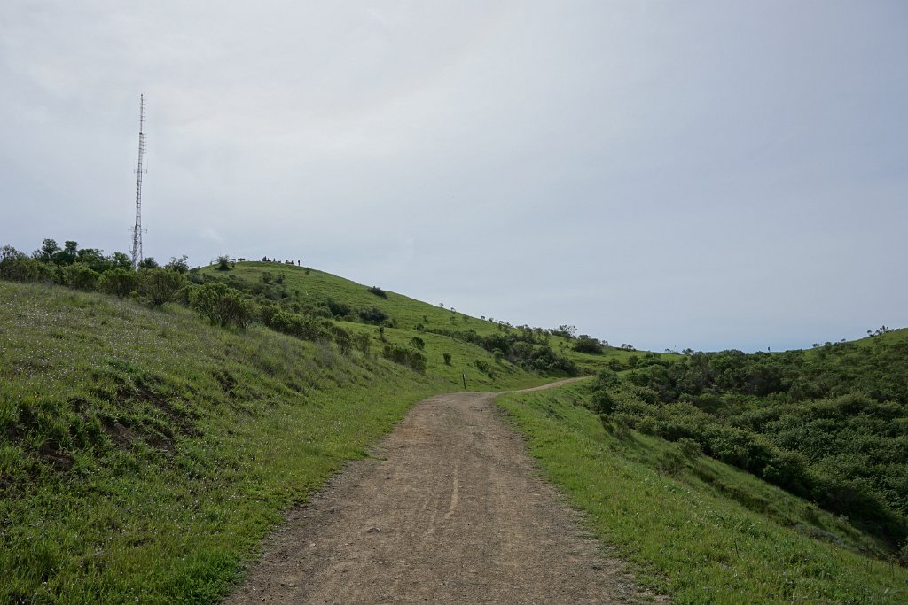 DSC01649
