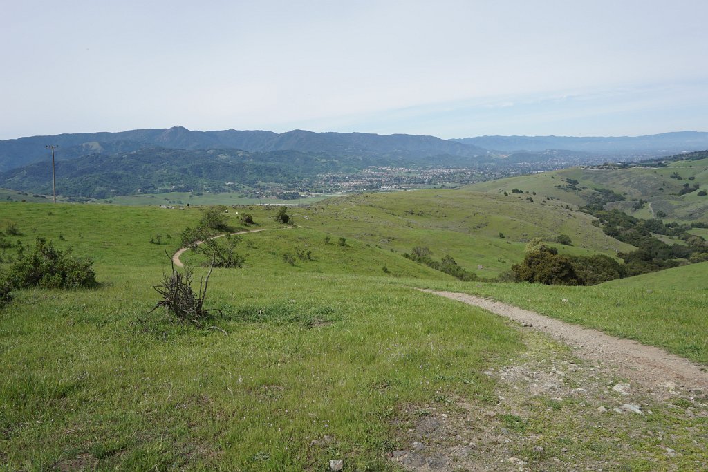 DSC01668