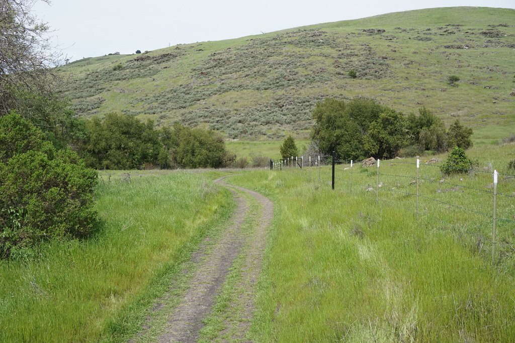 DSC01688