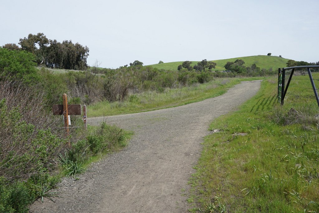 DSC01689