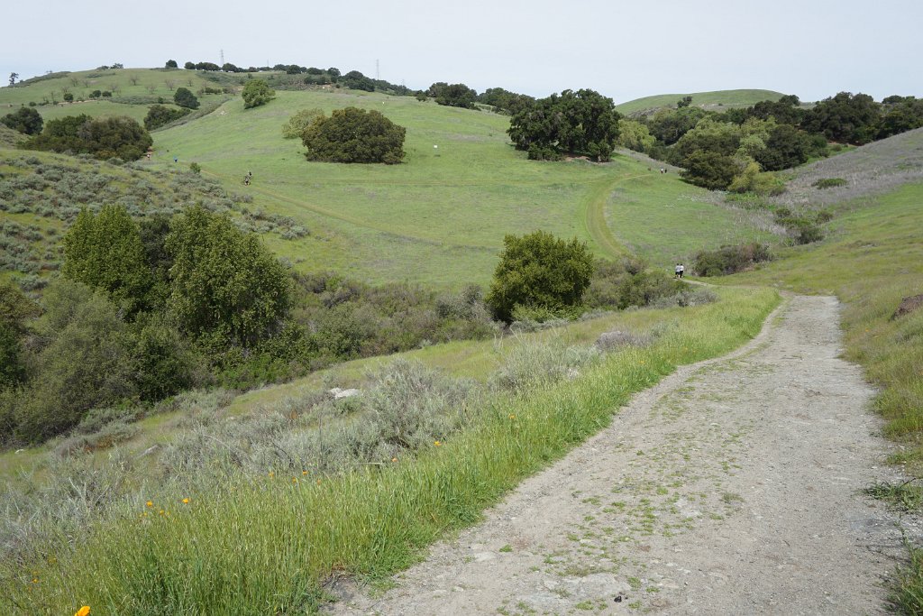 DSC01698