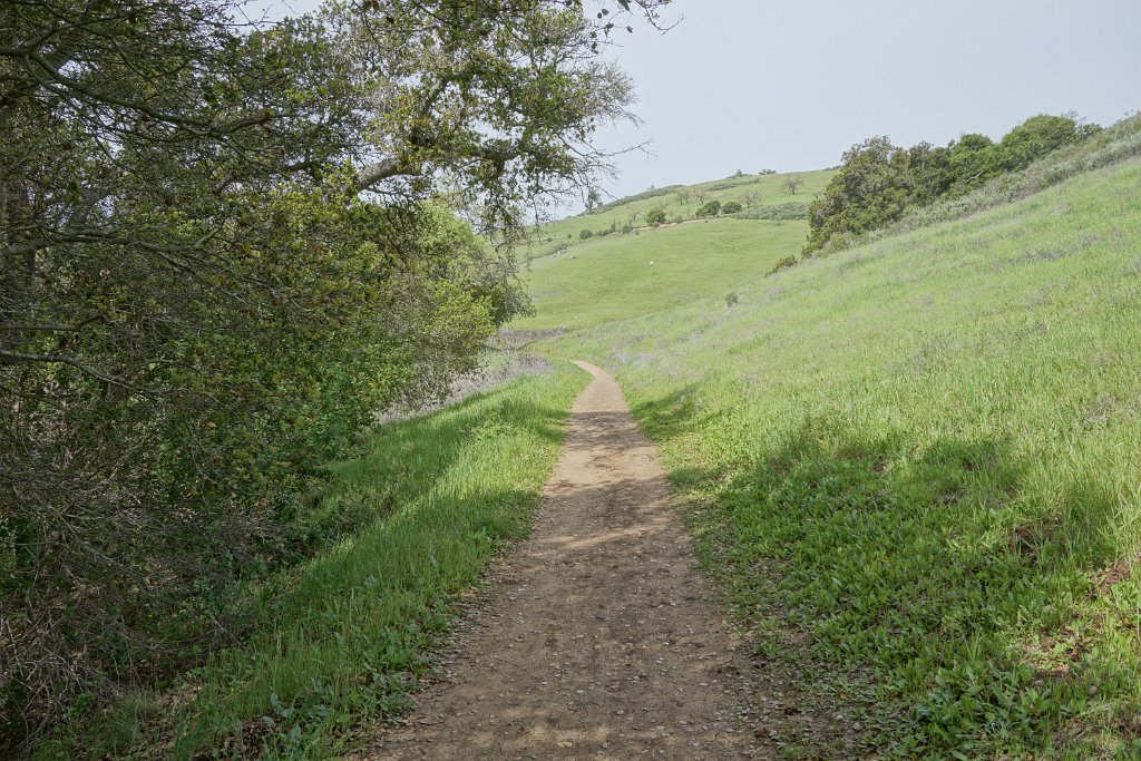 DSC01702