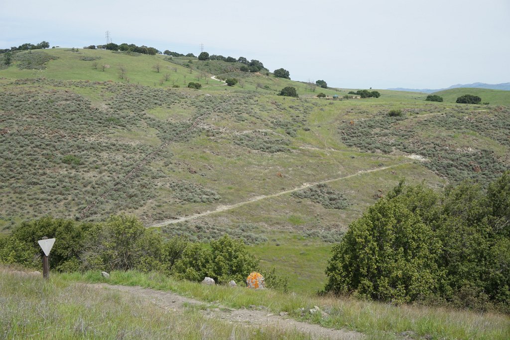 DSC01720