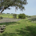 DSC01543