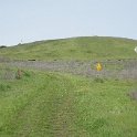 DSC01548