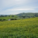 DSC01555