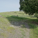DSC01562