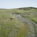DSC01567