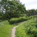DSC01596