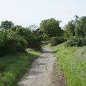 DSC01601
