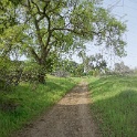 DSC01603