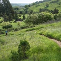 DSC01621