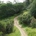 DSC01622