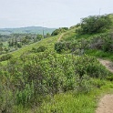 DSC01625