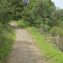 DSC01641