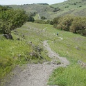 DSC01685