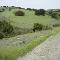 DSC01698