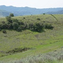 DSC01708