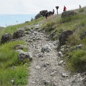 DSC01717