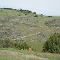DSC01720