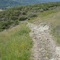 DSC01730