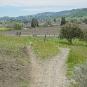 DSC01740