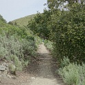 DSC01748