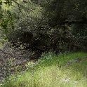 DSC01755