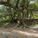 DSC01758