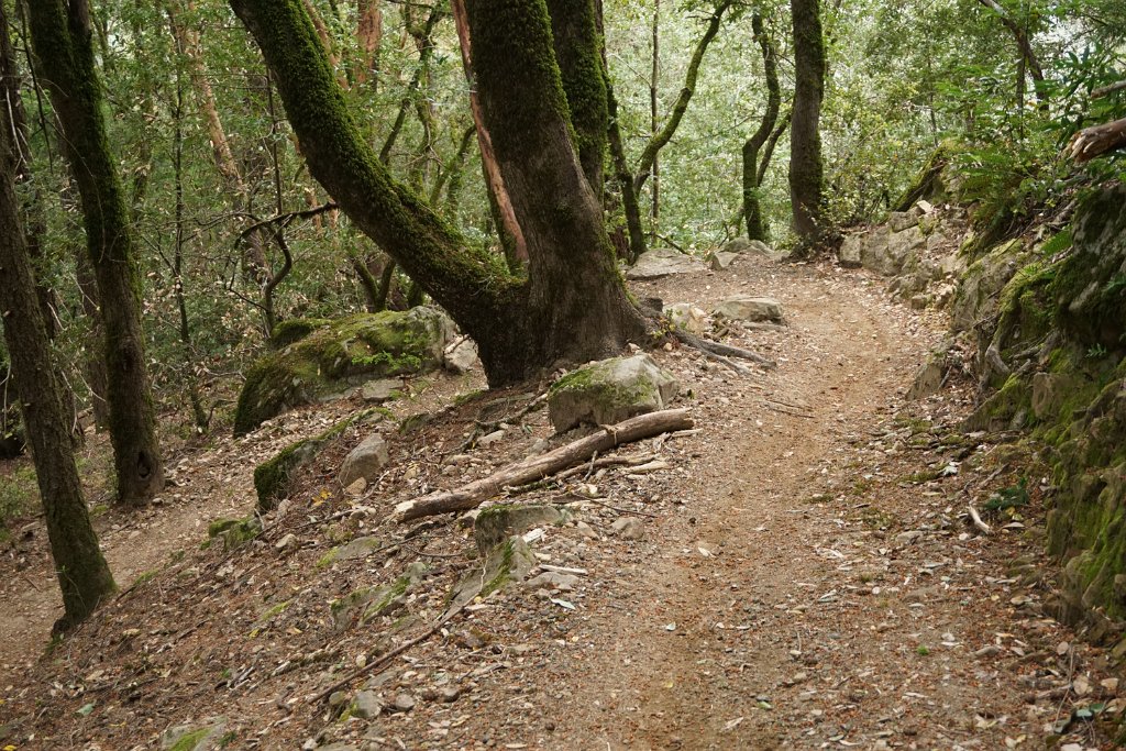 DSC08350