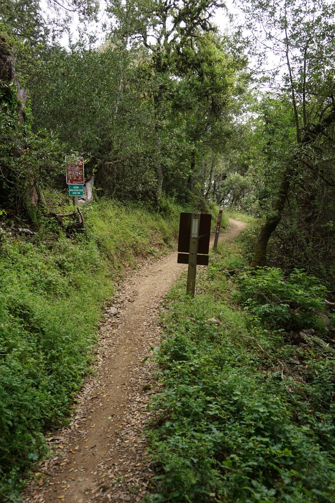 DSC08357