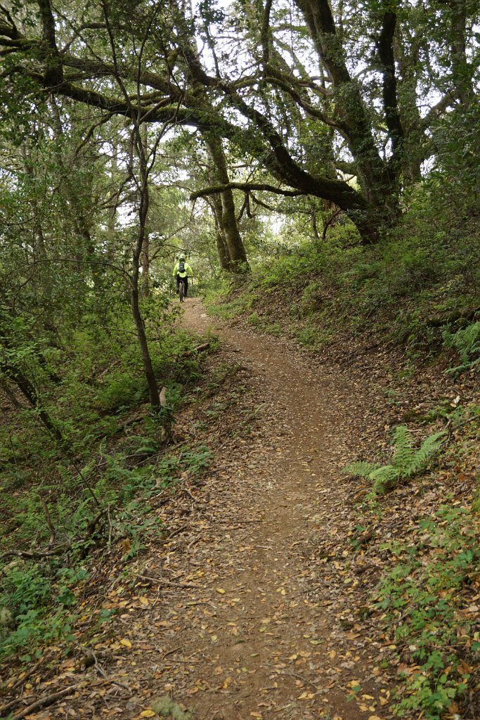 DSC08450