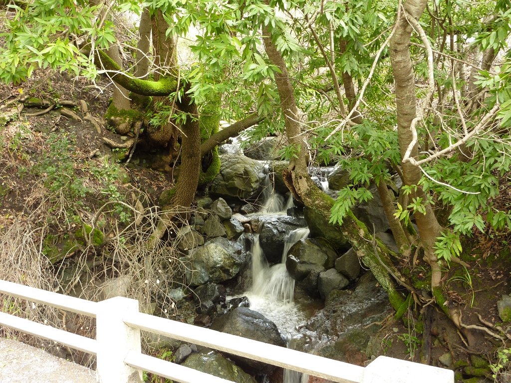 P1040960