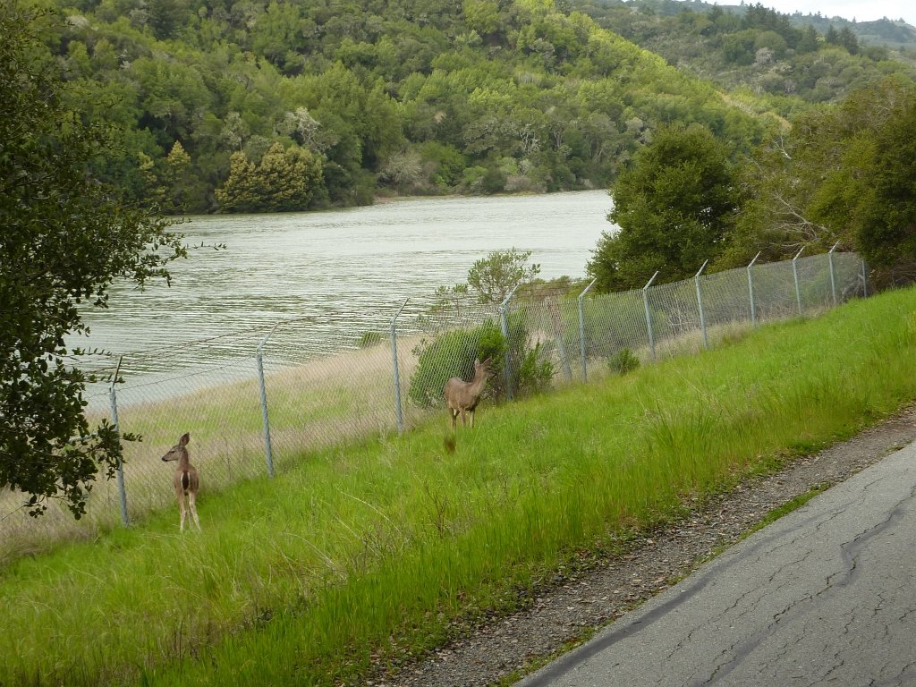 P1040964
