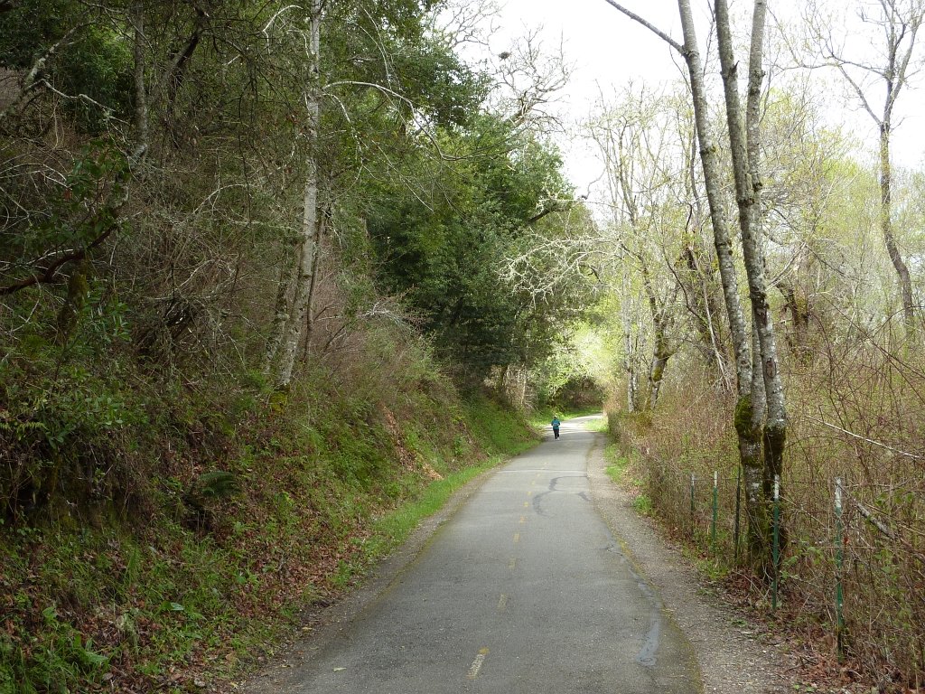 P1040971