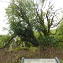 P1040970